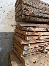 assi Cedro del Libano