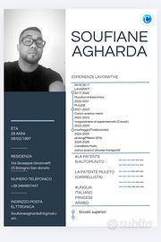 Magazziniere(Bologna e provincia)