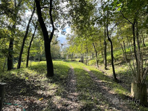 T021 - Terreno agricolo boschivo