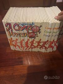 enciclopedia completa del corpo umano per bambini