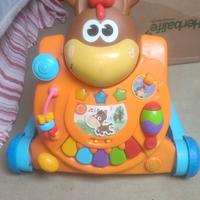 Primi passi Cavallino 