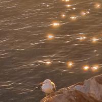 Liguria, Lerici, Golfo dei poeti, 5 terre, Spezia