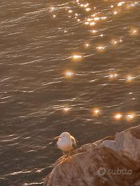 Liguria, Lerici, Golfo dei poeti, 5 terre, Spezia