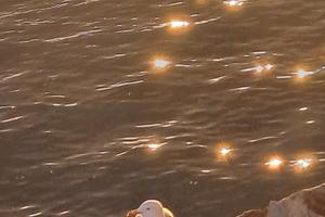 Liguria, Lerici, Golfo dei poeti, 5 terre, Spezia