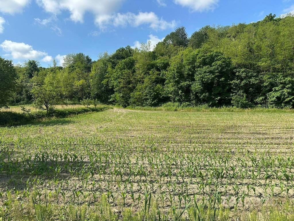 Terreno di 2091 m² a Sirone - Vista 4
