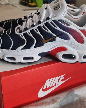 Nike Air Max TN PSG