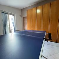 Tavolo da ping pong Artengo