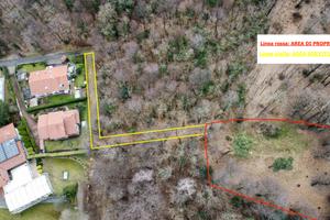 Terreno boschivo con edificio rurale diroccato