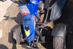 Mini quad