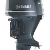 Piede completo Yamaha F300 4.2