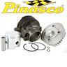 gruppo-da-corsa-pinasco-102cc-vespa50-special-pk