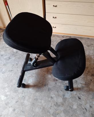 Due sedie ergonomiche