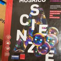 Mosaico scienze vol. A-B-C-D