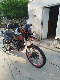 Special Honda Nx Dominator