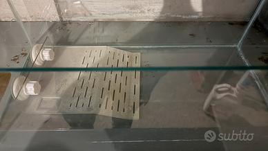 acquario per tartarughe