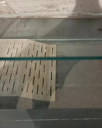 acquario per tartarughe