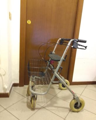 deambulatore 