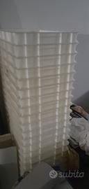 20 cassetti per panetti pizza