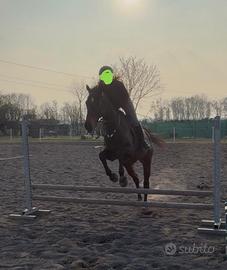 Psi 10 anni bravissima