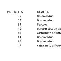 Bosco di 6424 M² che costeggia la strada asfaltata