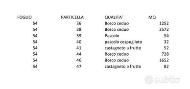 Bosco di 6424 M² che costeggia la strada asfaltata