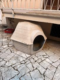Cuccia grande