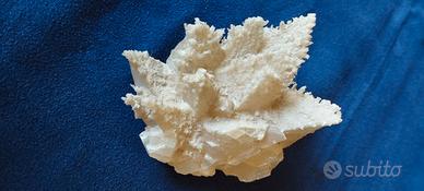 Calcite trigonale cristalli su matrice (Marocco)