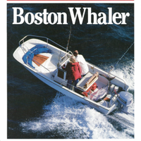 Boston Whaler 17 mountak