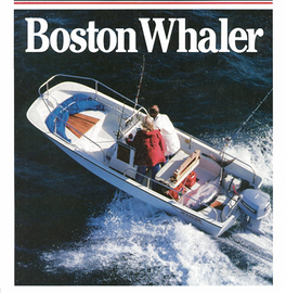 Boston Whaler 17 mountak