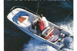 Boston Whaler 17 mountak