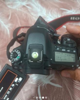 fotocamera reflex canon eos 80D corpo macchina sen