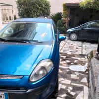 Grande punto Natural pawer 