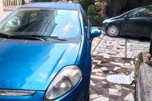 Grande punto Natural pawer 