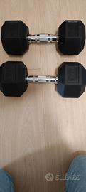 Pesi palestra 