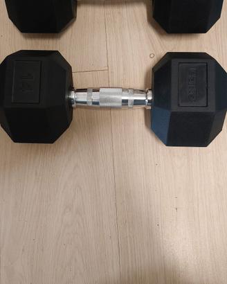 Pesi palestra 