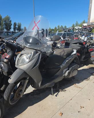 Malaguti Password 250