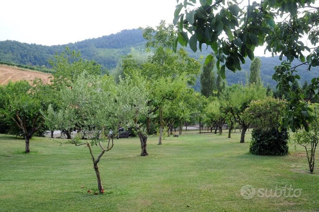 Rustico / Casale di 1480 m² con 5 locali e box aut - Vista 4