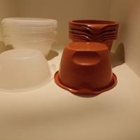 ciotole per hobby creativo, lavoretti, decoupage 