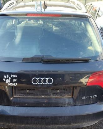 Portellone nudo AUDI A4 del 2006