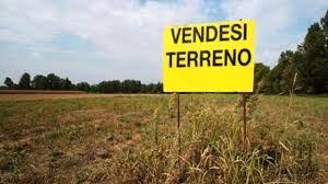 Terreno seminativo e uliveto ha 1.20