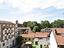 Immagine 15