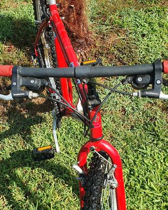 mountain bike 