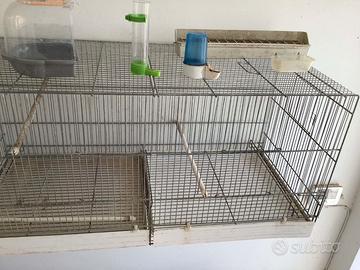 Gabbia per uccellini con accessori
