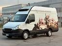 iveco-daily-con-frigo-anno-2014-perfetto