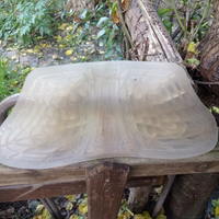 Salva garrese in gel