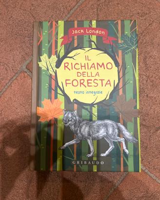 Libro