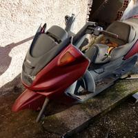 Majesty 250 1a Serie 1995