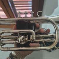 Cornetta Professionale Yamaha YTR-733