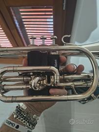 Cornetta Professionale Yamaha YTR-733