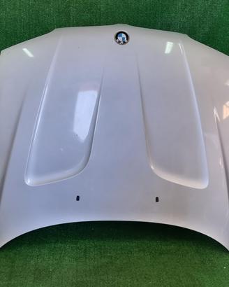 COFANO ANTERIORE BMW X3 1° Serie M47 D20 (204D4)